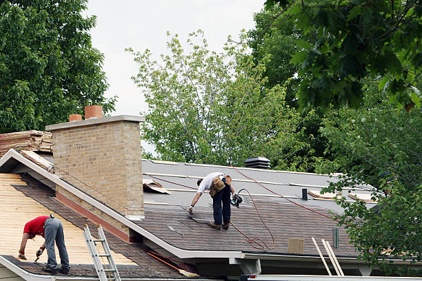 Best Roof Gutter Cleaning  in Hawthorn Woods, IL