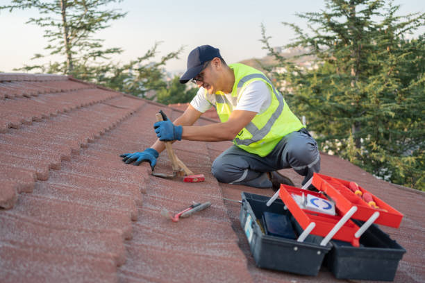 Best Flat Roof Repair Services  in Hawthorn Woods, IL